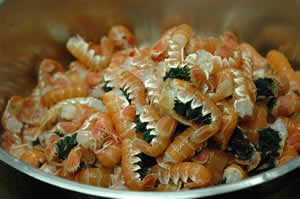 langoustines2.jpg