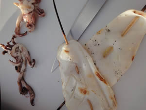char-grilled squid