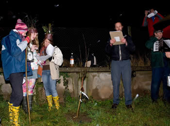 wassail